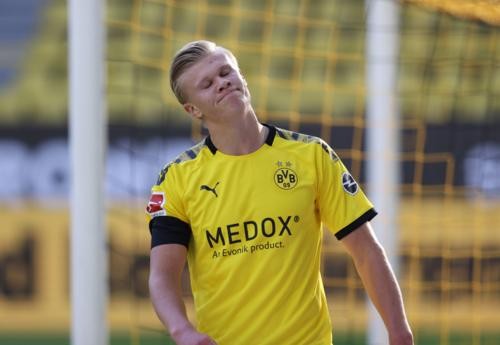 的共同努力 的共同努力