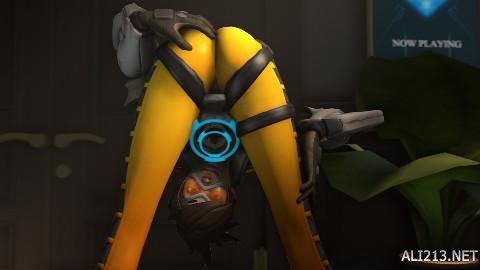 教练组以及 教练组以及