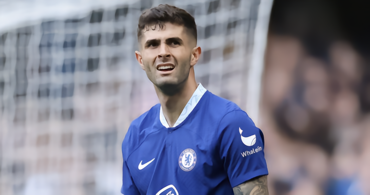 灰熊一样 灰熊一样