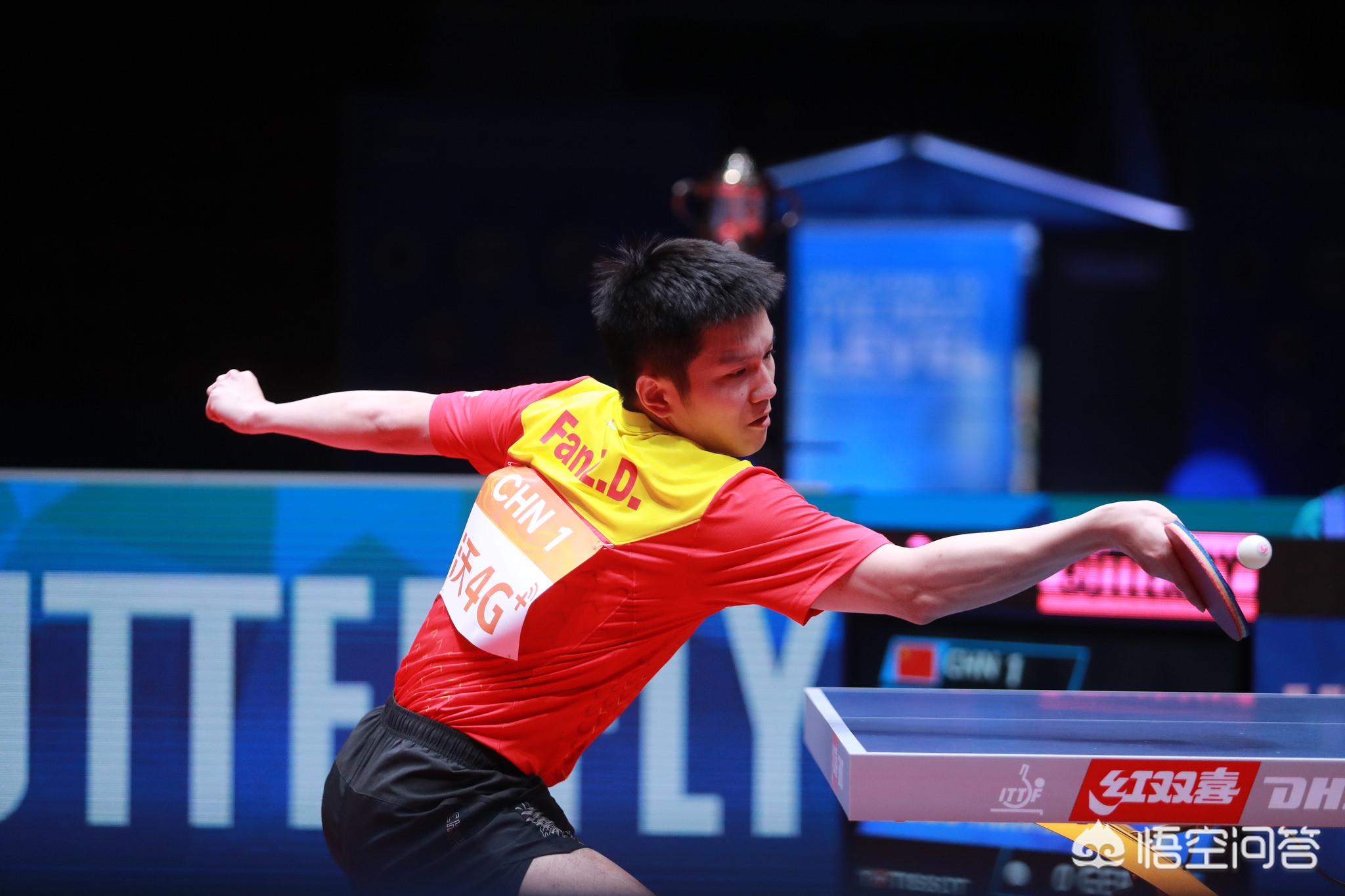 度对抗中保 度对抗中保