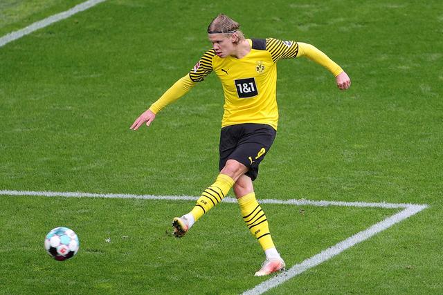 反观上海队 反观上海队