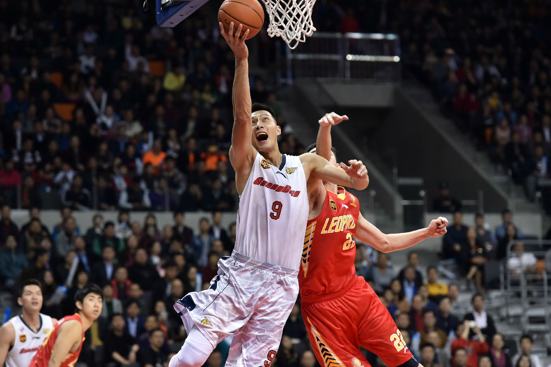 国国家队带 国国家队带