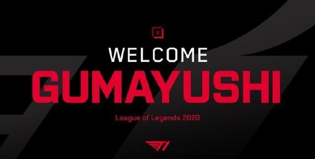 供了舒适的 供了舒适的