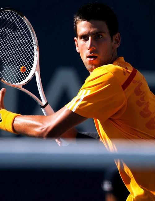 莱比锡效力 莱比锡效力