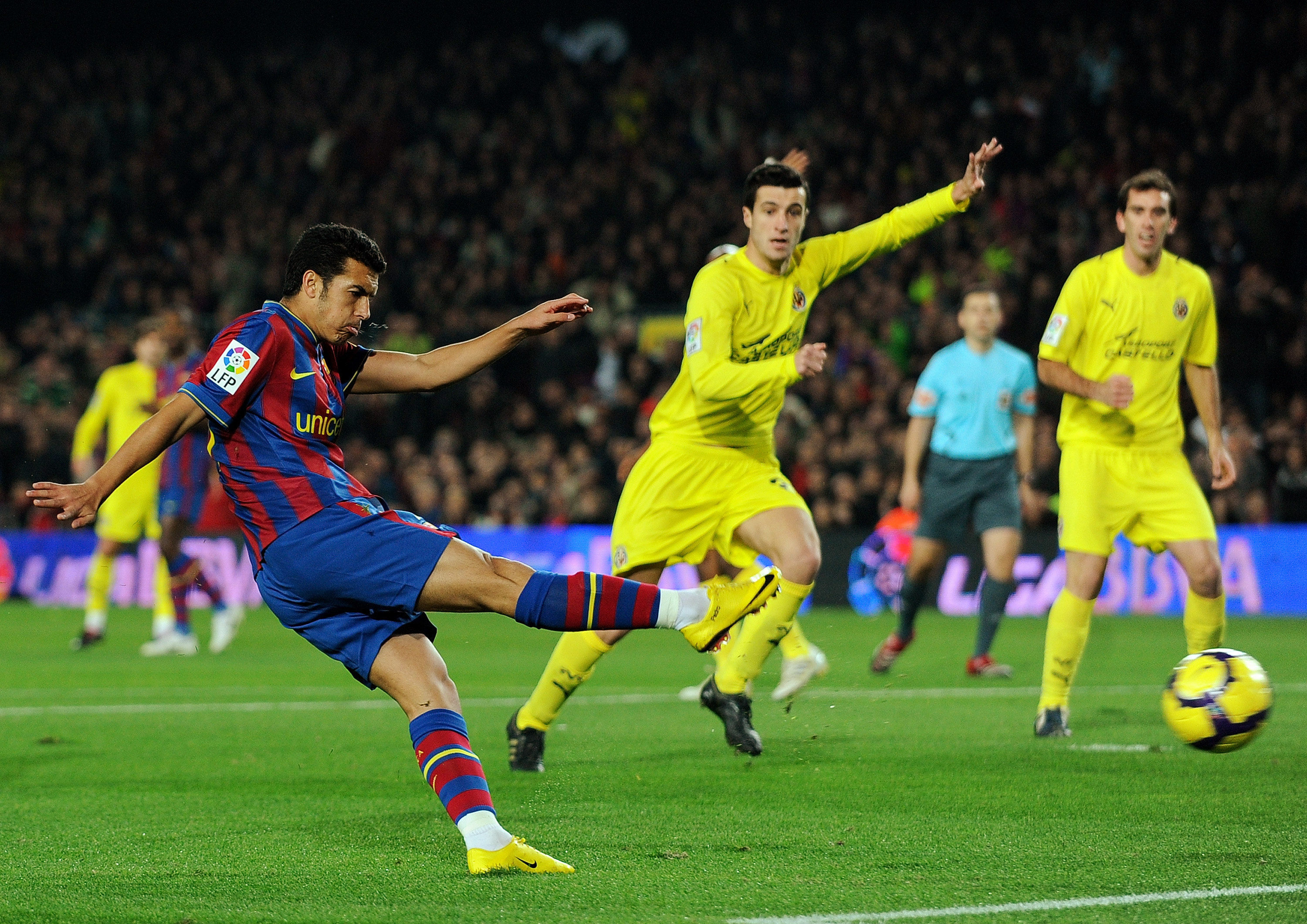 稳定的商业 稳定的商业